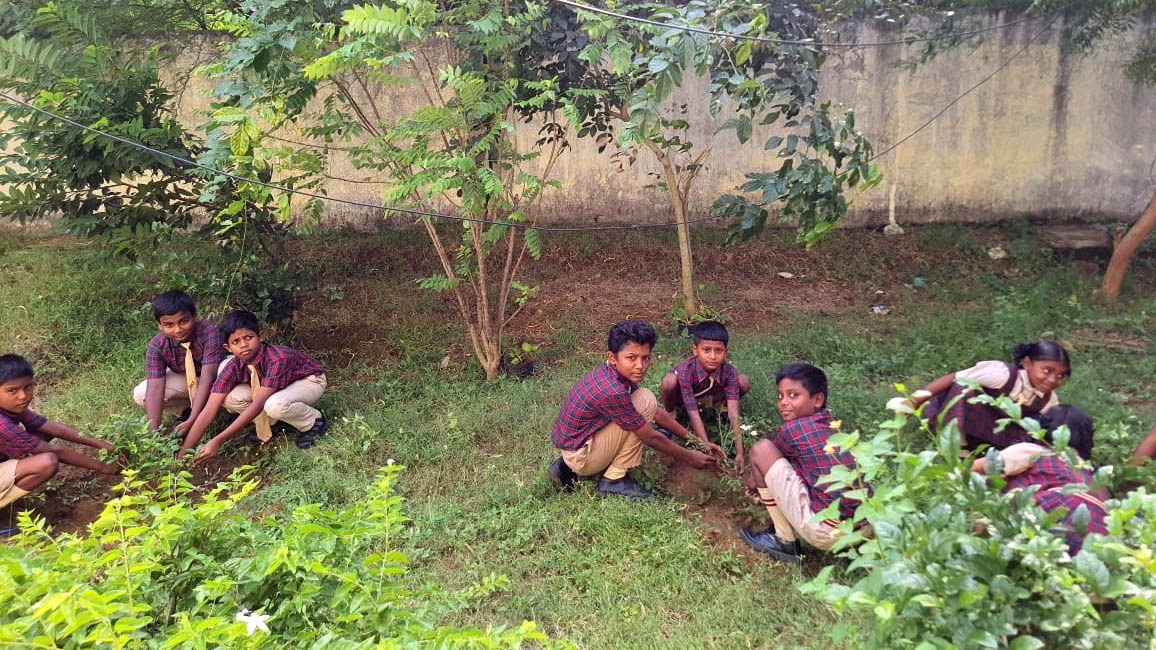 Plantation